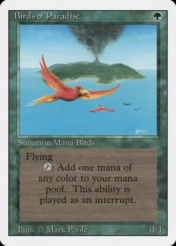 Birds of Paradise · 187