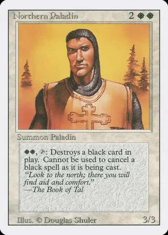 Northern Paladin · 29