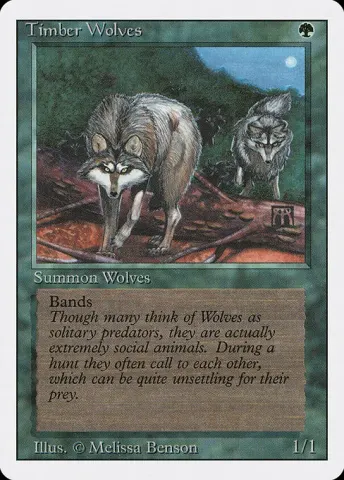 Timber Wolves · 219