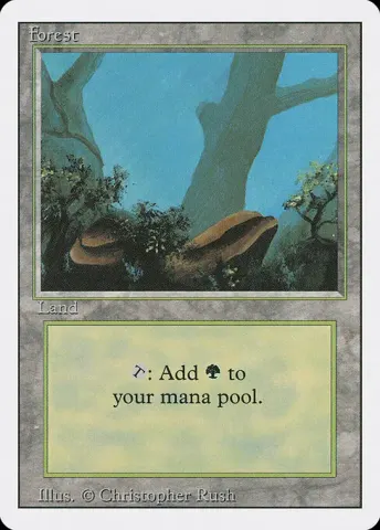 Forest · 304