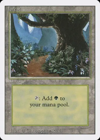 Forest · 305