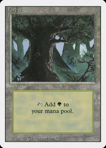 Forest · 306