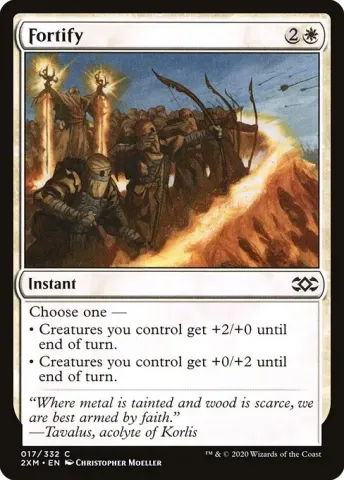 Fortify · 17