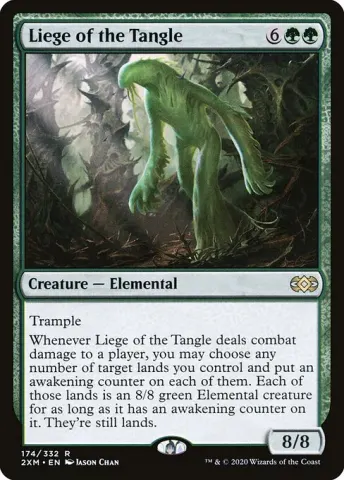 Liege of the Tangle · 174