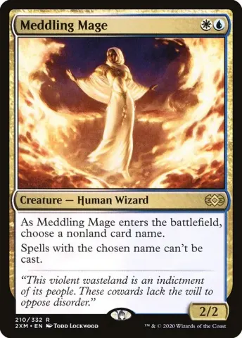 Meddling Mage · 210
