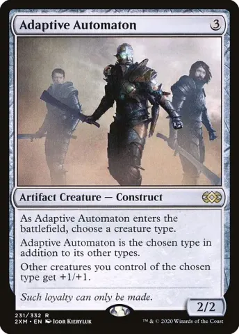 Adaptive Automaton · 231
