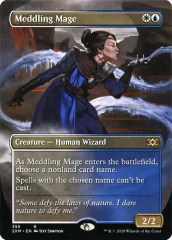 Meddling Mage · 355
