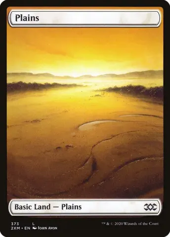 Plains · 373
