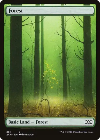 Forest · 381