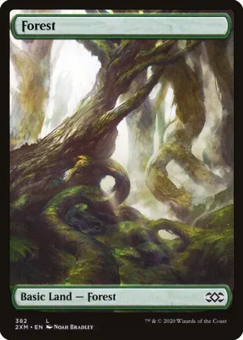 Forest · 382