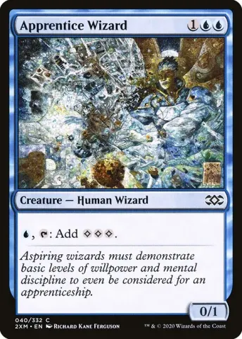 Apprentice Wizard · 40