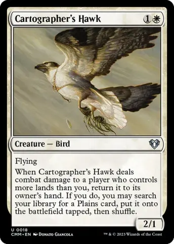 Cartographer's Hawk · 18