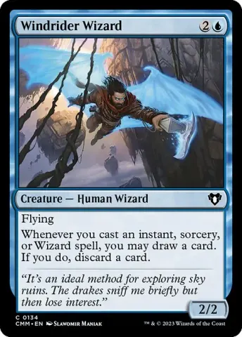 Windrider Wizard · 134