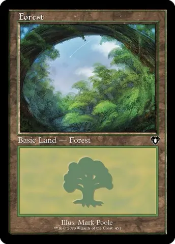 Forest · 451