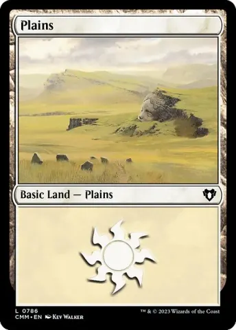 Plains · 786