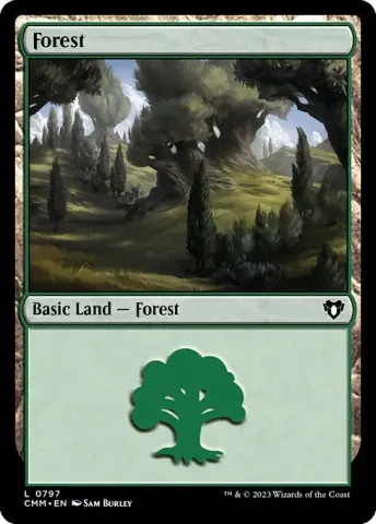 Forest · 797