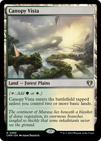 Canopy Vista · 989