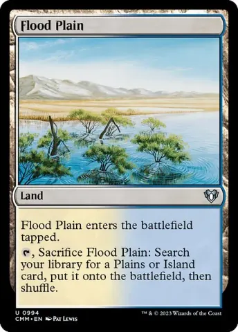 Flood Plain · 994