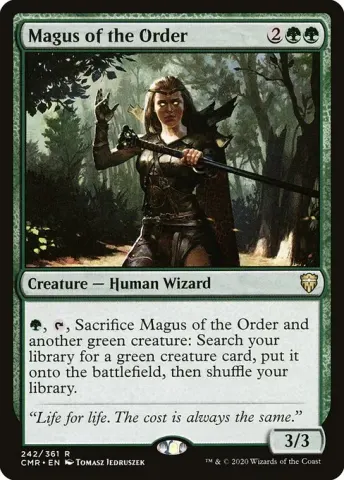 Magus of the Order · 242