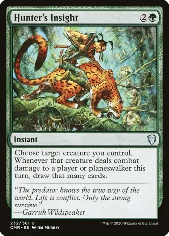 Hunter's Insight · 232