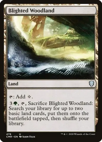Blighted Woodland · 476