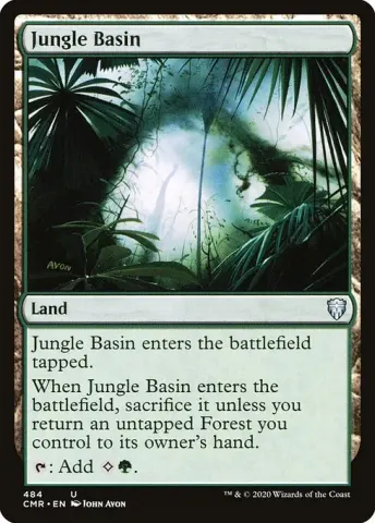 Jungle Basin · 484