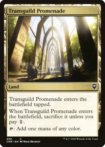 Transguild Promenade · 499