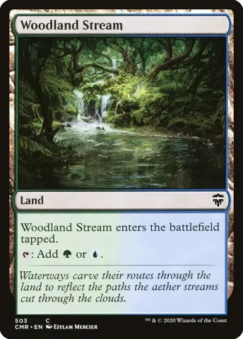 Woodland Stream · 503