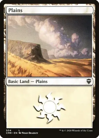 Plains · 504