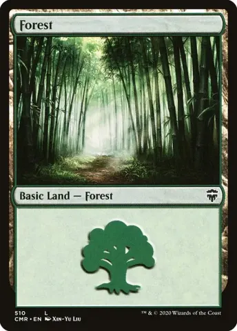 Forest · 510