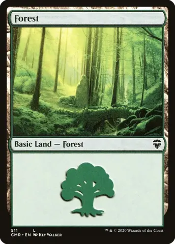 Forest · 511