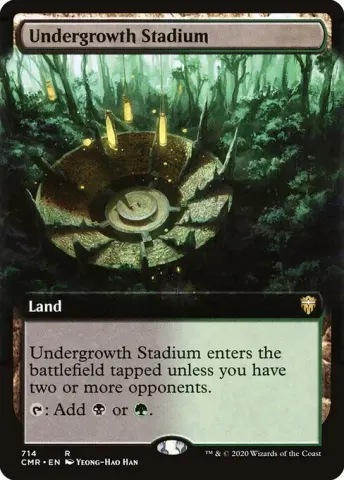 Undergrowth Stadium · 714