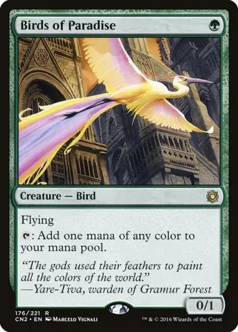 Birds of Paradise · 176