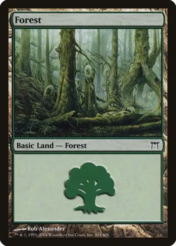 Forest · 303