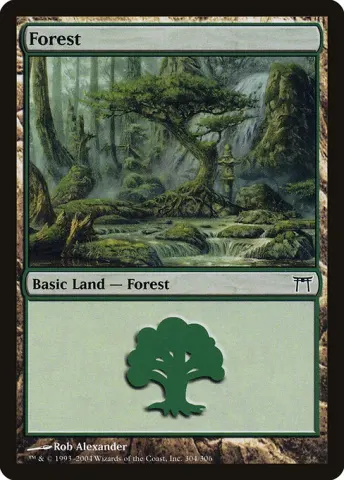 Forest · 304