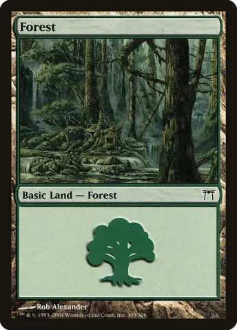 Forest · 305