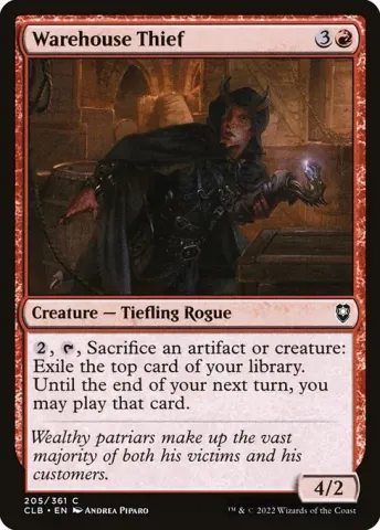 Warehouse Thief · 205