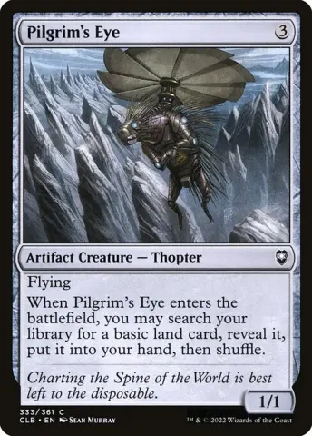 Pilgrim's Eye · 333