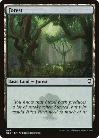 Forest · 467
