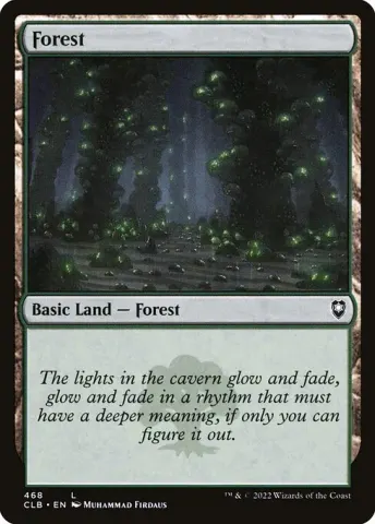 Forest · 468