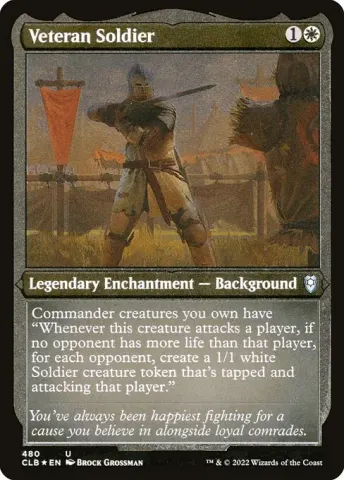 Veteran Soldier · 480