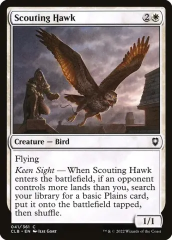 Scouting Hawk · 41