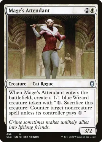 Mage's Attendant · 698
