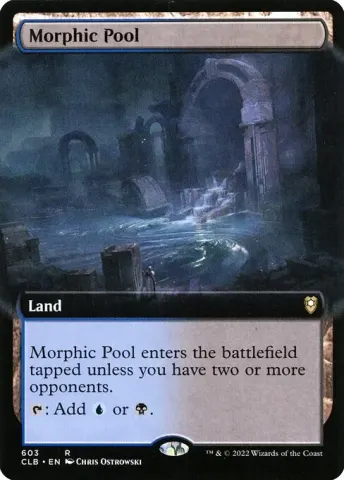 Morphic Pool · 603
