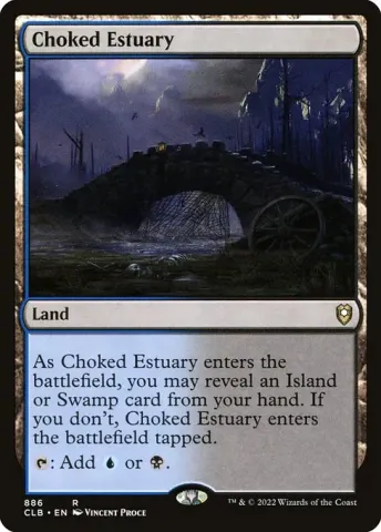 Choked Estuary · 886
