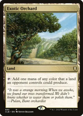 Exotic Orchard · 893
