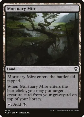 Mortuary Mire · 900