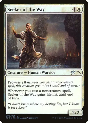 Seeker of the Way · 2