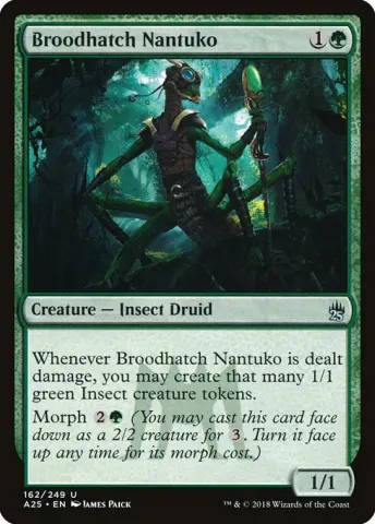 Broodhatch Nantuko · 162