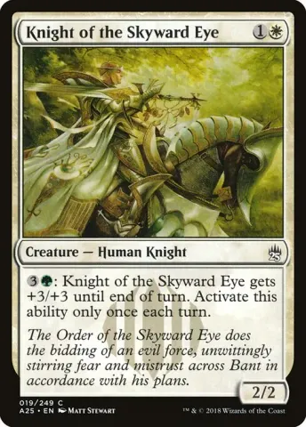 Knight of the Skyward Eye · 19